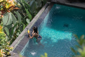 Manas Entire 2 bedr Villa -- Private Jungle Pool -- 5 min Central Ubud